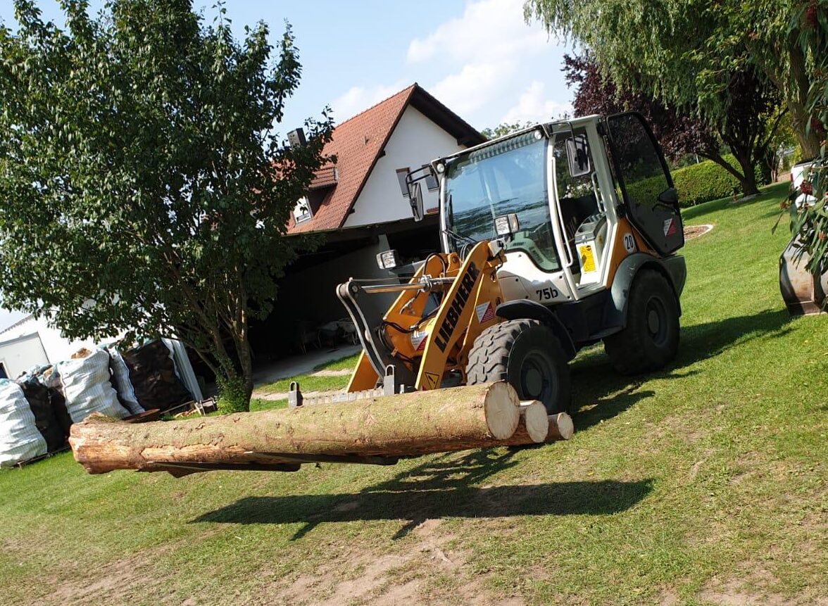 Der Radlader im Garten beim Verfahren von Holzstämmen mit der Staplergabel