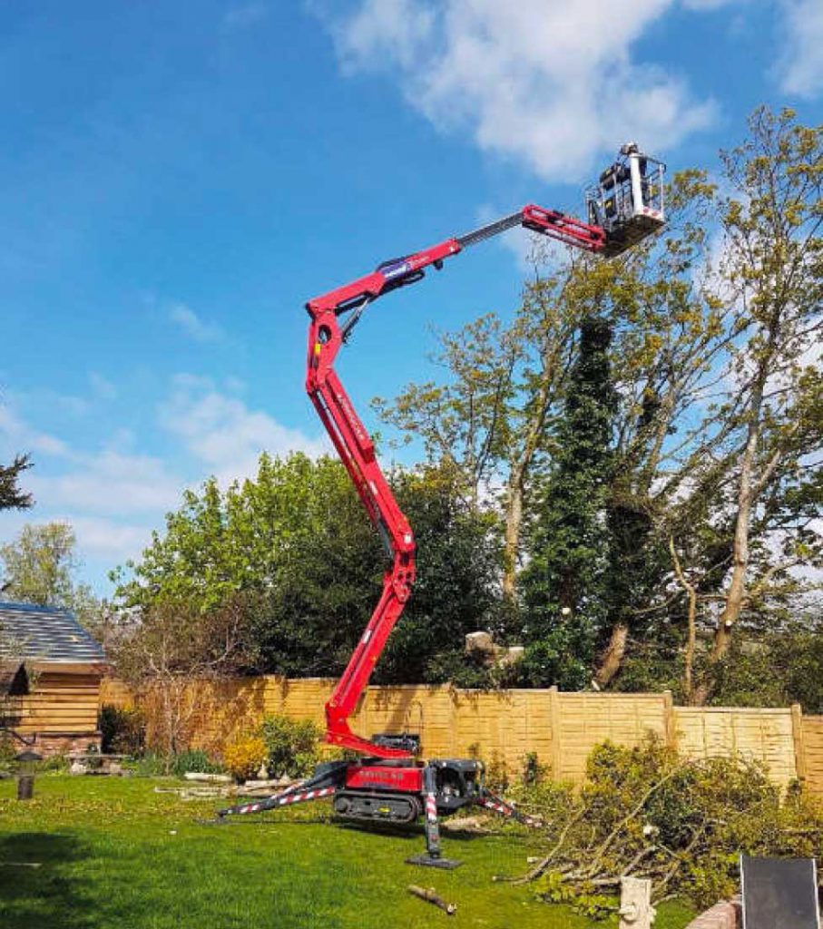 Die Hebebühne ausgefahren an einem Baum zum Ausasten